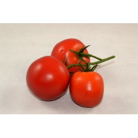 Tomatoes on The Vine